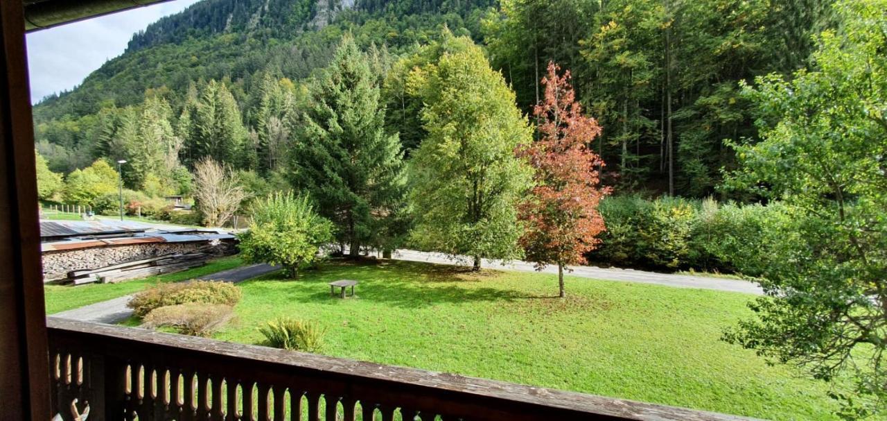 Appartement-3-Chambres-8-Couchages-Wifi-Montriond-Chebourins 외부 사진